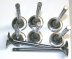 VLV017 527694 INTAKE VALVE SET - v8vlvprt