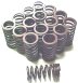 VLV220 VALVE SPRING SET R SERIES V-8 - v8vlvprt